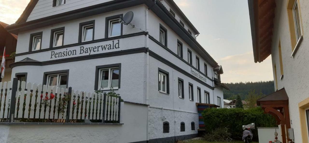 Pension Bayerwald Mit Ferienwohnung Bodenmais Luaran gambar